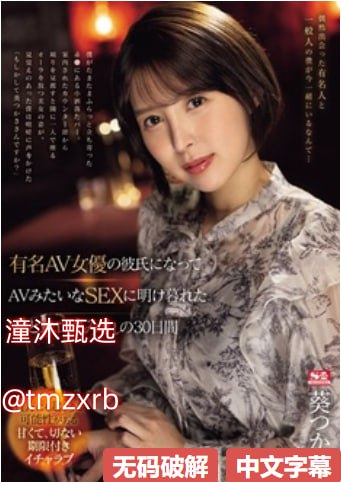 每天av,アジアポルノ、ゾーン1とゾーン2